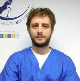 MSc. Andrea Degiovanni